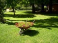 /album/fotos-del-viso/parque-oct-08-020-jpg/